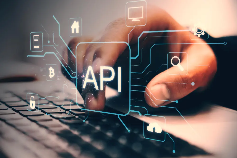 ERP-API 
