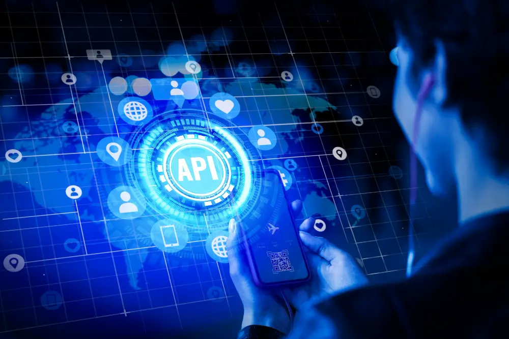 api-erp