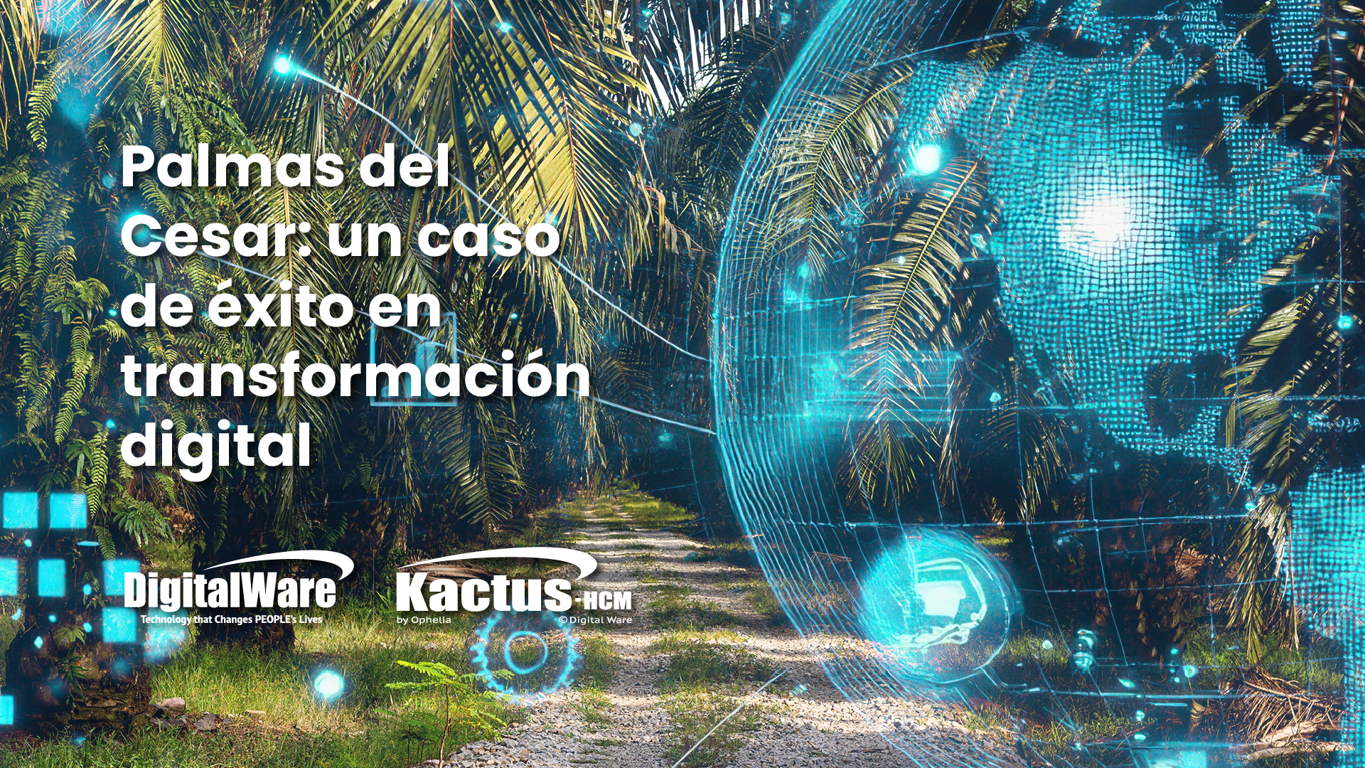 Blog 4 imagenes blog 29 04 03 Digital Ware